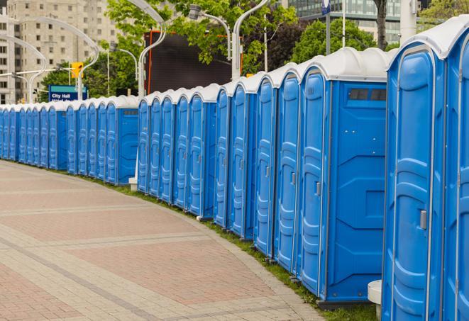 Seasonal porta potty units set up at a Central, South Carolina venue